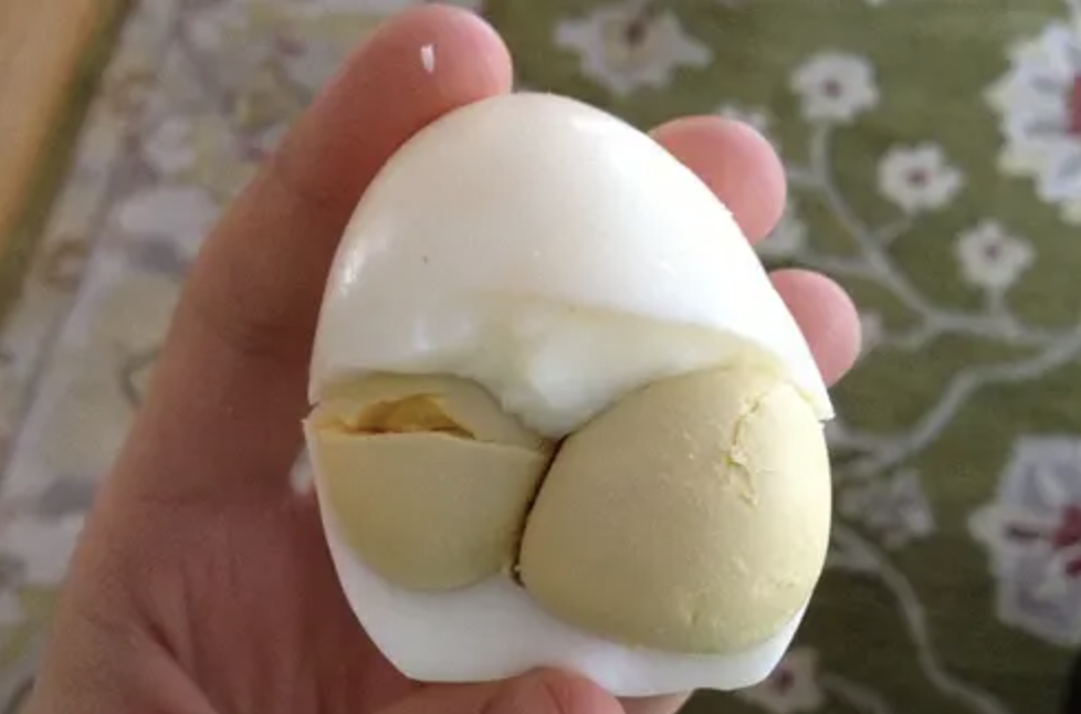Lecitina da gema de ovo